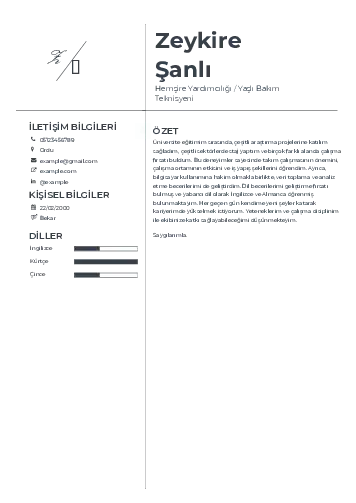 Hasta ve Yaşlı Bakım Elemanı Cv Örnekleri cv indir